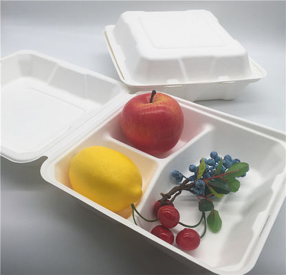 8 Inch 38g Clamshell Biodegradable To Go Containers