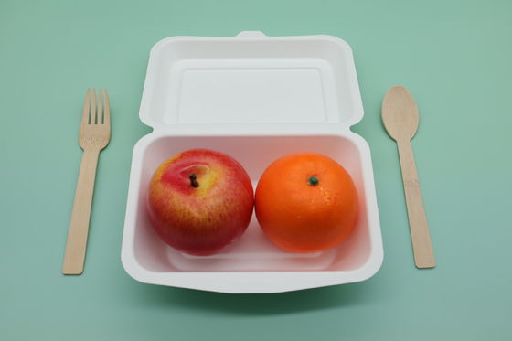 Disposable Paper Bagasse Food Box , 7*5 Inch Square Plate , For Take Away Fast Food